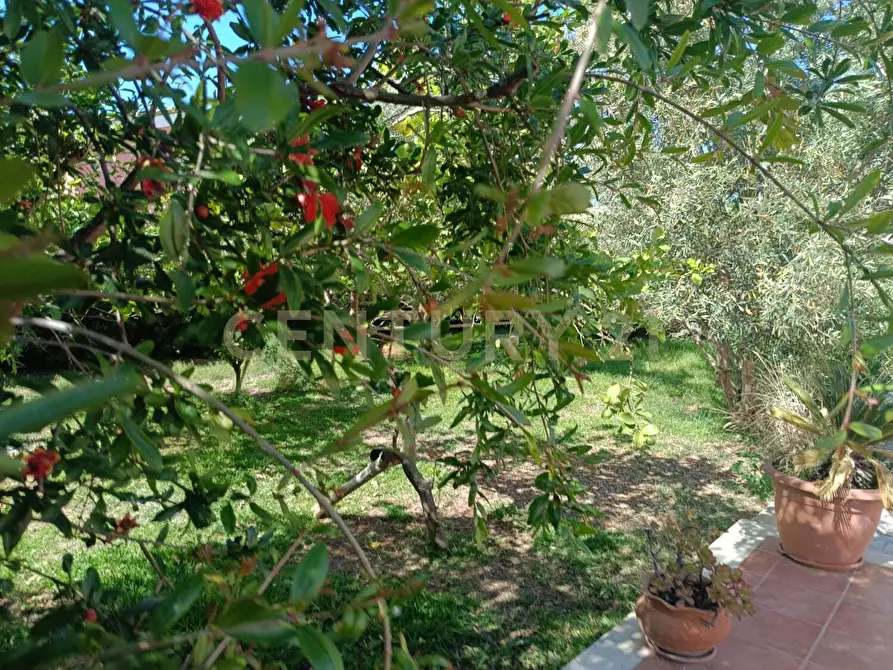Immagine 26 di Casa bifamiliare in vendita  in Viale Pozzo Antico 1 a Noto