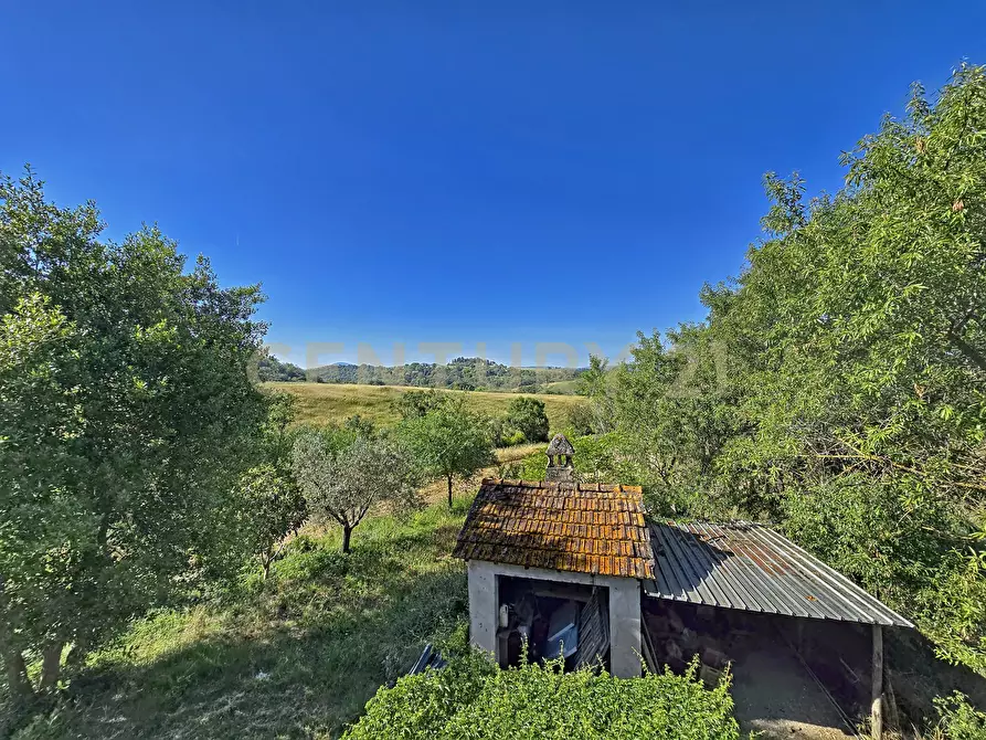 Immagine 9 di Rustico / casale in vendita  in Strada Provinciale Aquilaia a Scansano