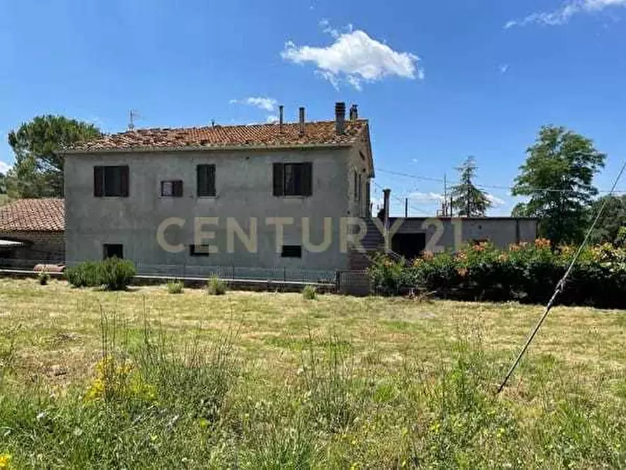 Immagine 15 di Casa indipendente in vendita  in località podere poggio sellino snc a Semproniano