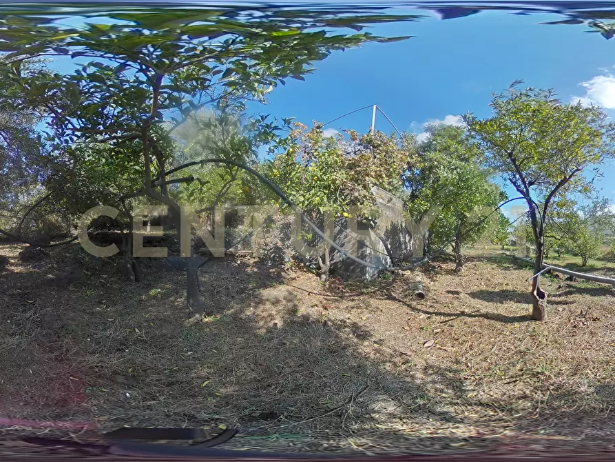 Immagine 27 di Villa in vendita  in Via di Bartolo a San Gregorio Di Catania