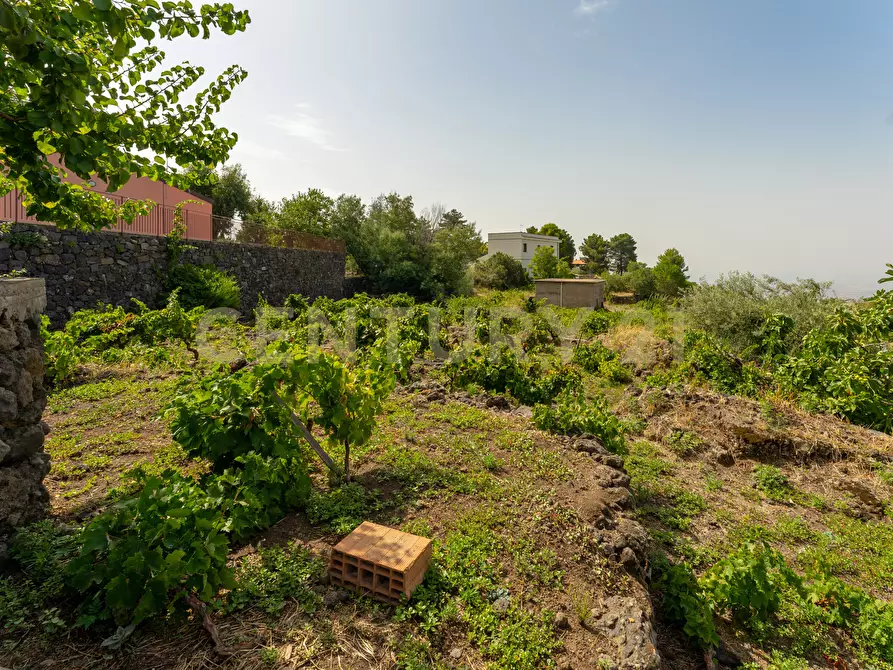 Immagine 29 di Villa in vendita  in Strada Provinciale 158 a Biancavilla