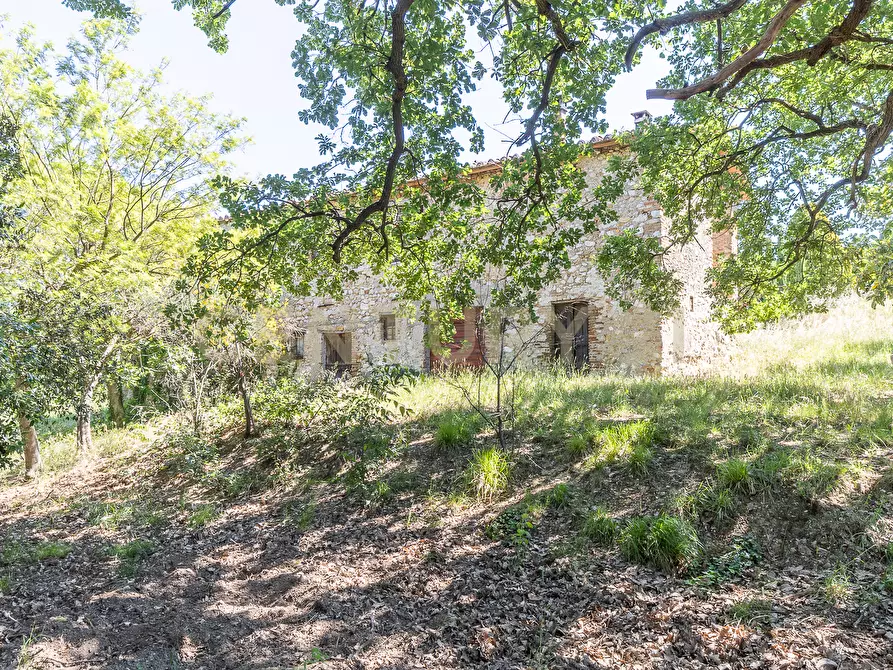 Immagine 24 di Rustico / casale in vendita  in Via Tiberina 384 a Narni