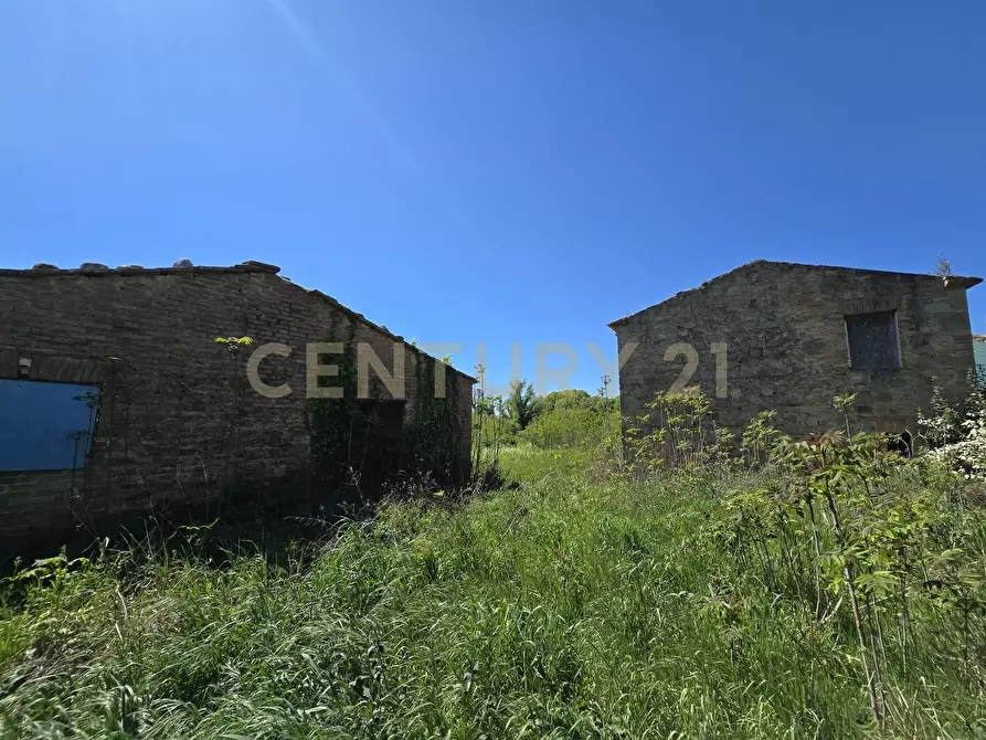 Immagine 37 di Rustico / casale in vendita  in Via di Lattaia a Roccastrada