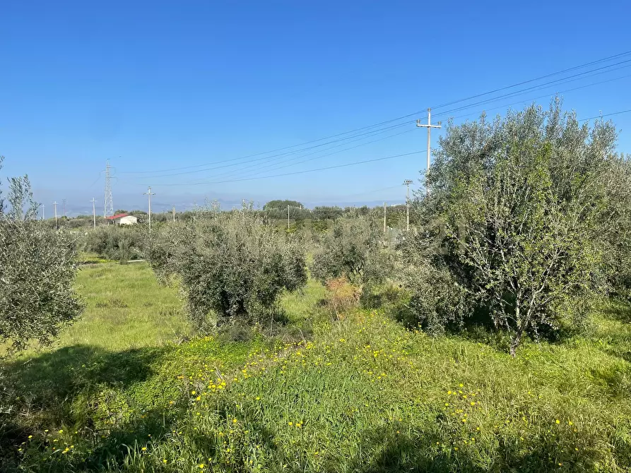 Immagine 19 di Terreno agricolo in vendita  in contrada agnelleria a Belpasso