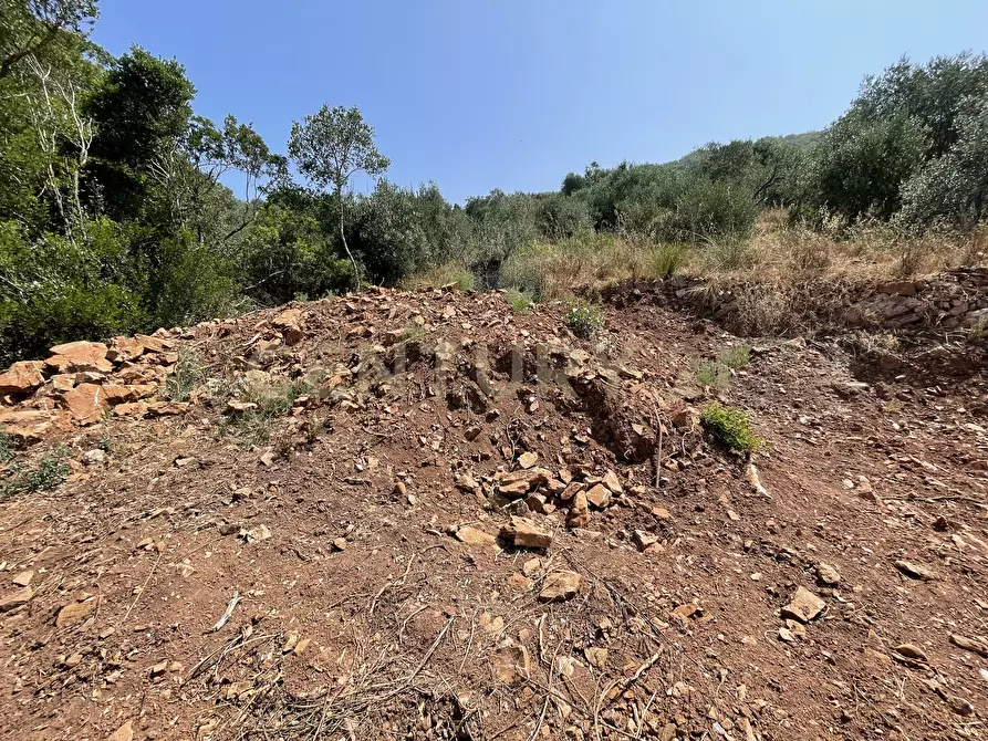 Immagine 16 di Rustico / casale in vendita  in località cannatelli snc a Monte Argentario