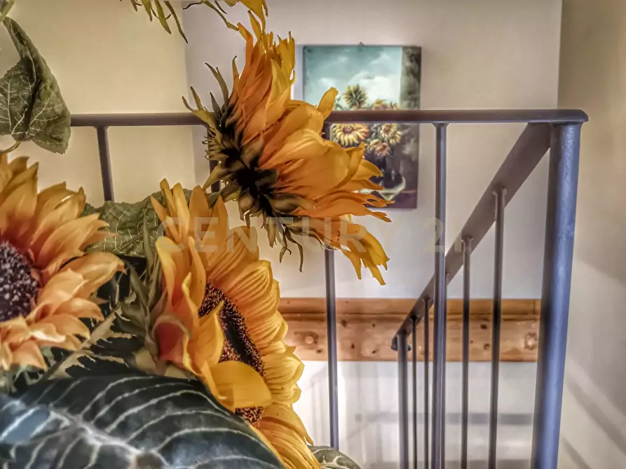 Immagine 106 di Casa indipendente in vendita  in podere san giuseppe a Piancastagnaio