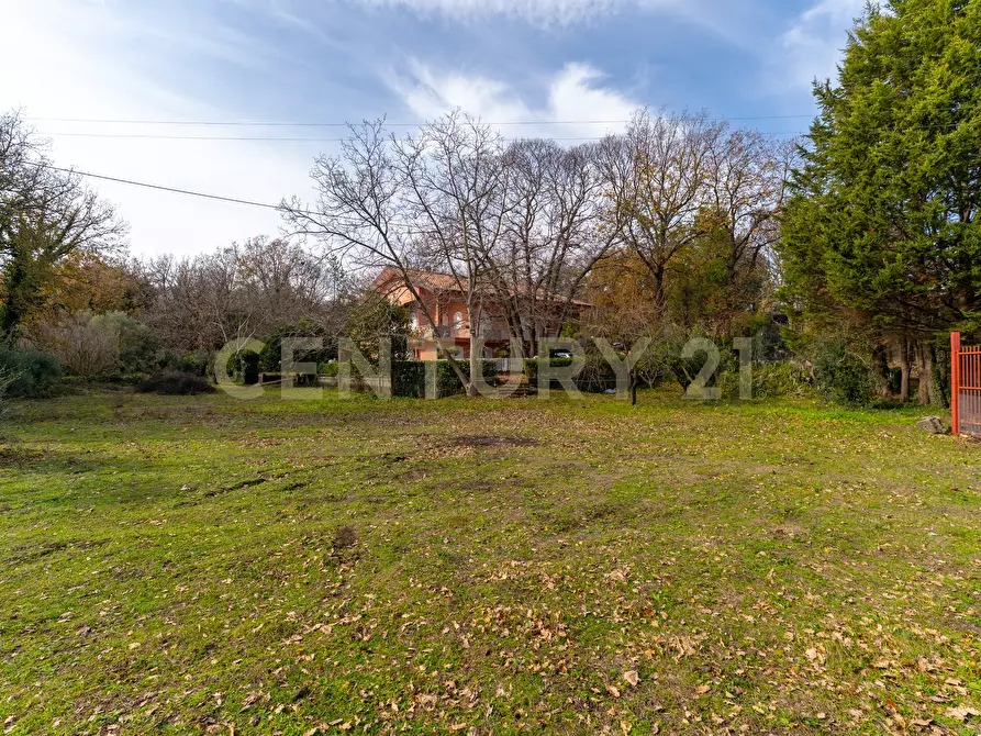 Immagine 9 di Villa in vendita  in CONTRADA ALBORETTO a Linguaglossa