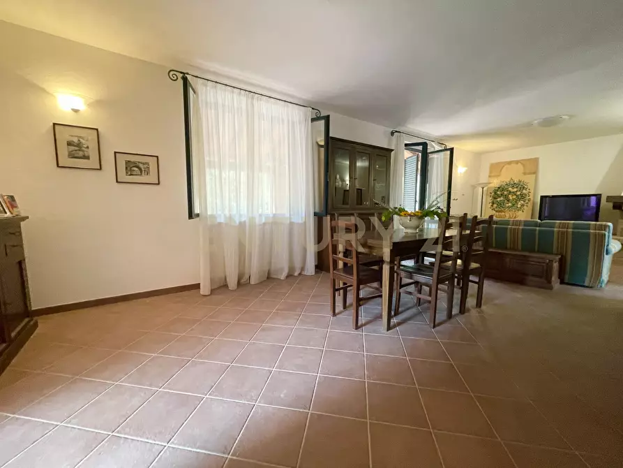 Immagine 17 di Azienda agricola in vendita  in località colle di lupo a Magliano In Toscana