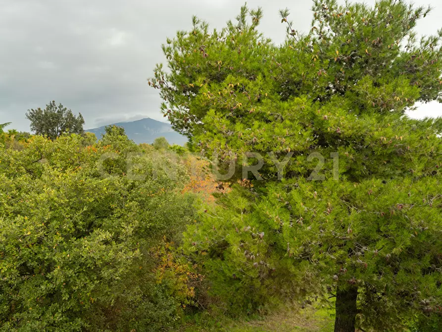 Immagine 46 di Villa in vendita  in via de pretis 4 a Mascalucia
