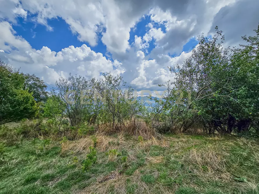 Immagine 15 di Casa bifamiliare in vendita  in Via Monte Rosa 1 a Semproniano