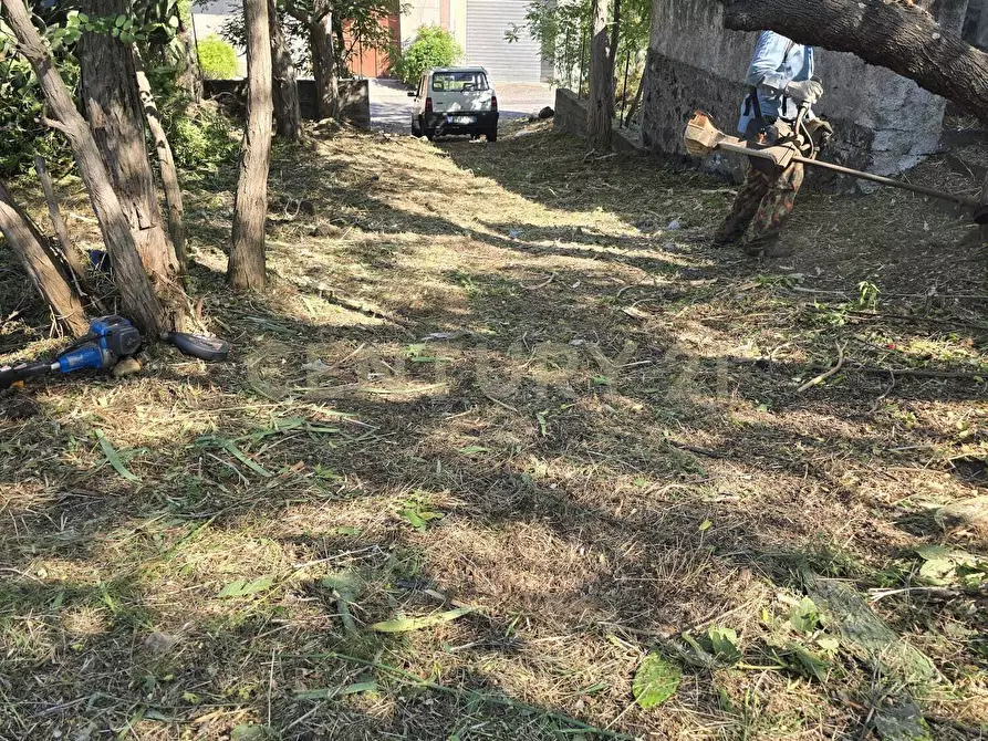 Immagine 30 di Villa in vendita  in Via Panebianco 20 a Castiglione Di Sicilia