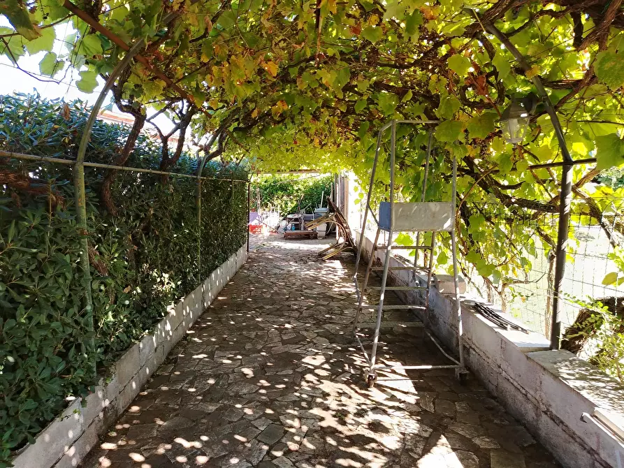 Immagine 31 di Villa in vendita  in Via Mentana 9 a Nettuno