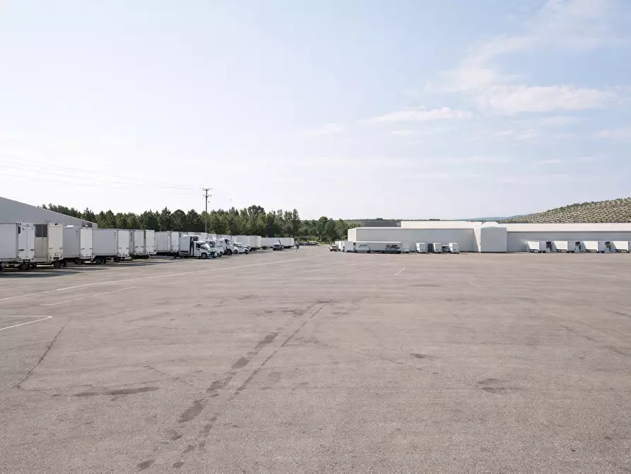 Immagine 6 di Terreno industriale in vendita  a Parma