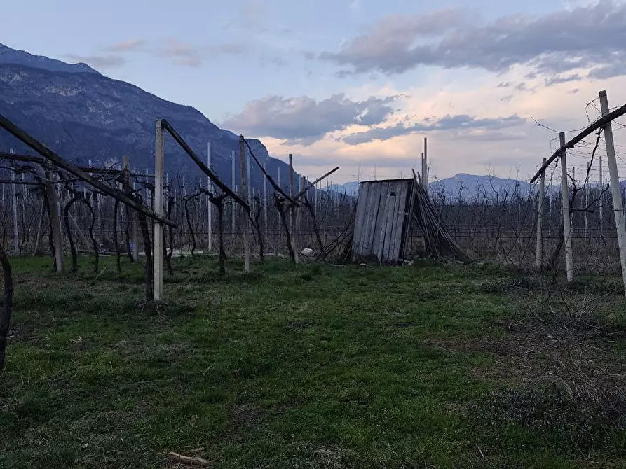 Immagine 14 di Magazzino in vendita  a Aldeno