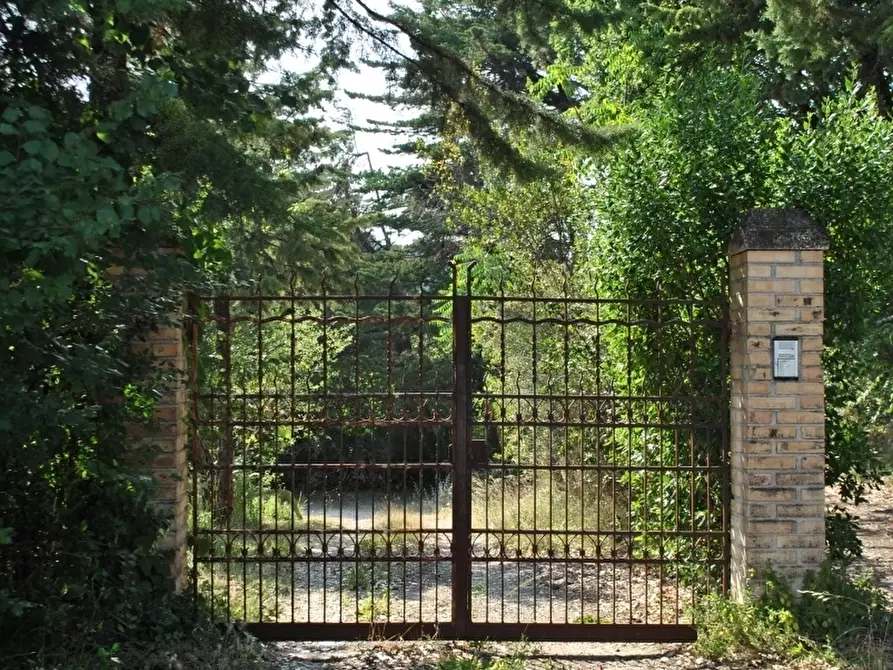 Immagine 8 di Rustico / casale in vendita  in Osimo a Osimo