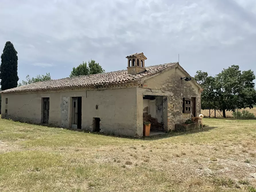 Immagine 23 di Rustico / casale in vendita  in Filottrano a Filottrano