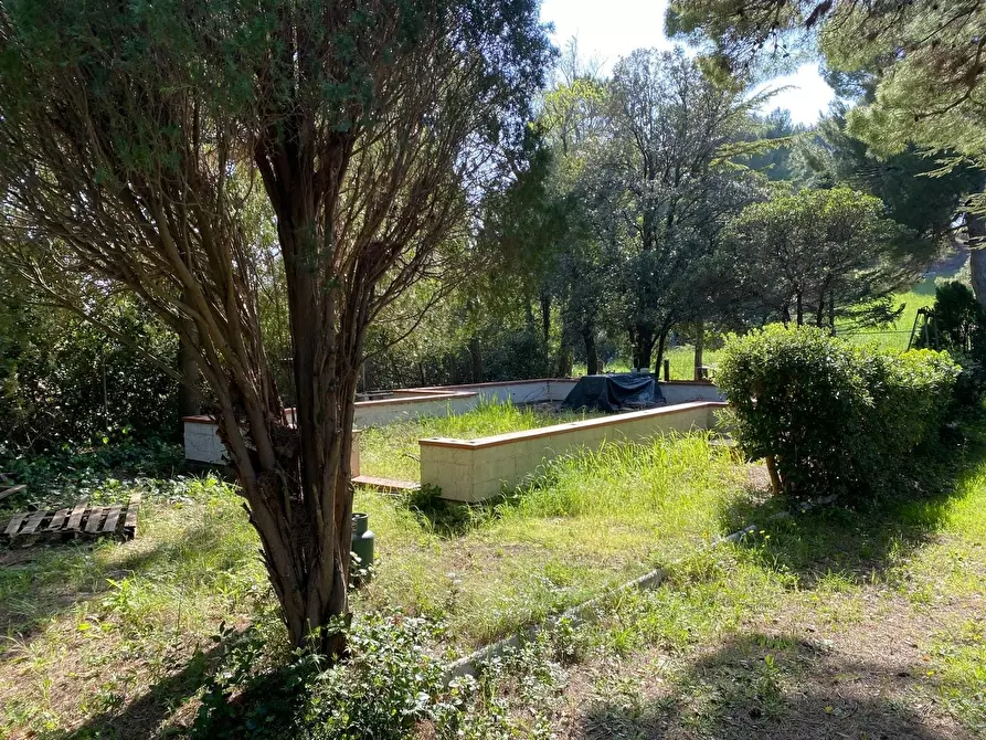 Immagine 14 di Rustico / casale in vendita  in Massignano a Ancona