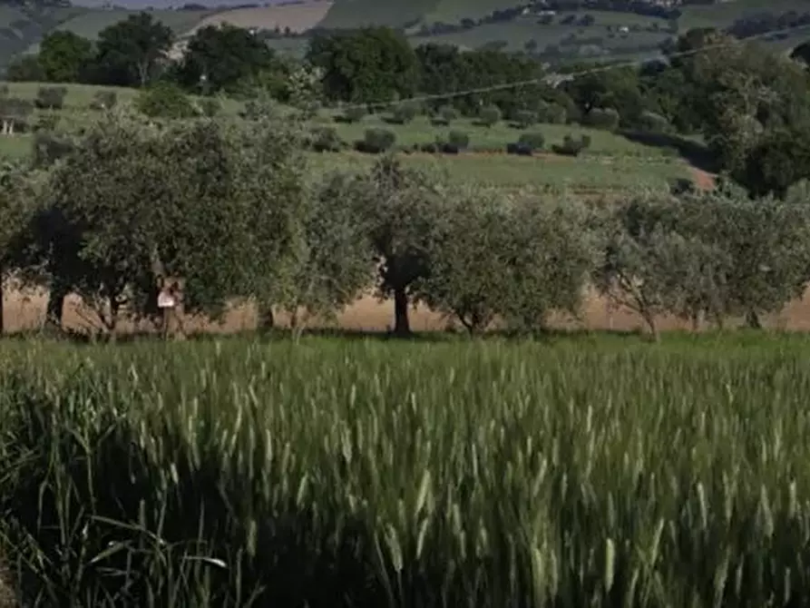 Immagine 23 di Rustico / casale in vendita  in CASTEL LEONE DI SUASA a Ostra Vetere