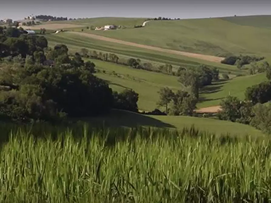 Immagine 12 di Rustico / casale in vendita  in CASTEL LEONE DI SUASA a Ostra Vetere