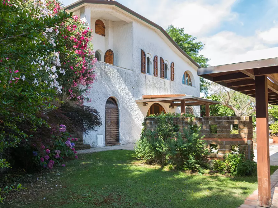 Immagine 26 di Villa in affitto  in Via ISCHIA a Numana