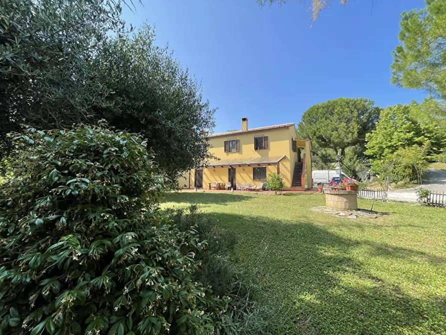 Immagine 10 di Rustico / casale in vendita  in offagna a Offagna