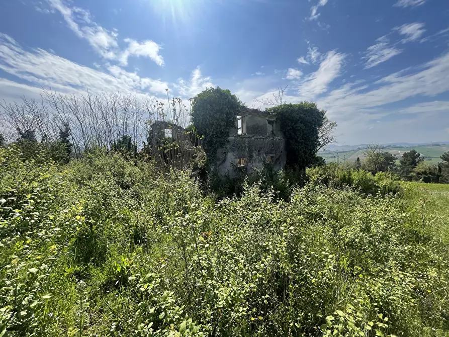 Immagine 3 di Rustico / casale in vendita  in Frazione Poggio a Ancona