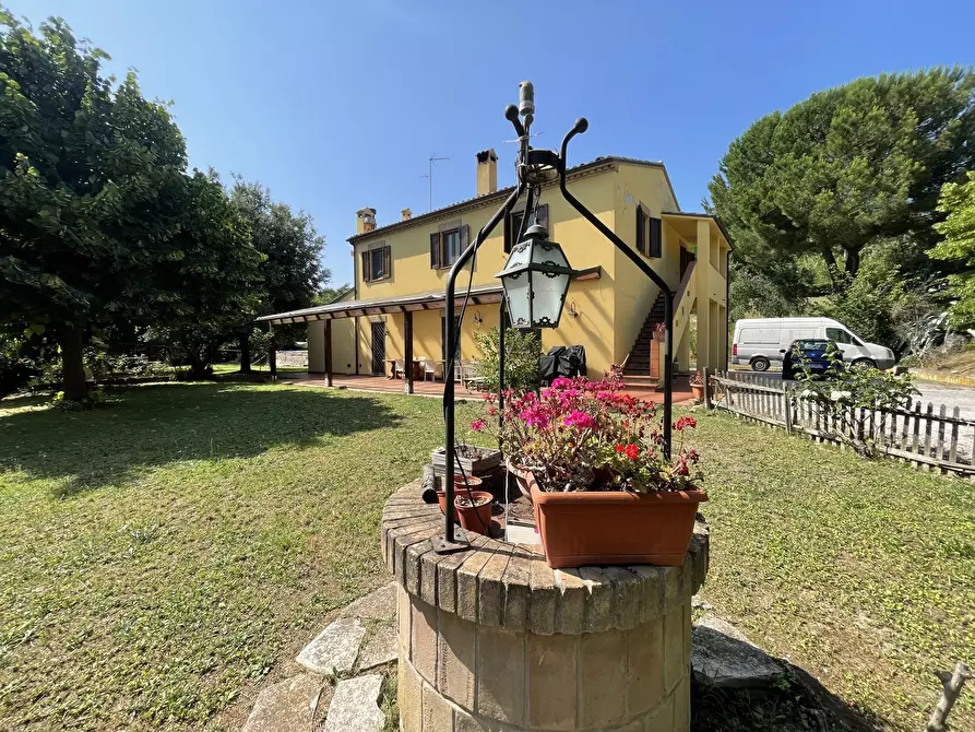 Immagine 13 di Rustico / casale in vendita  in offagna a Offagna