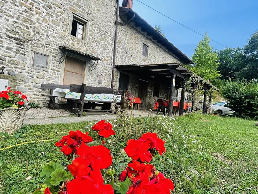 Immagine 1 di Rustico / casale in vendita  in via torri a San Marcello Piteglio