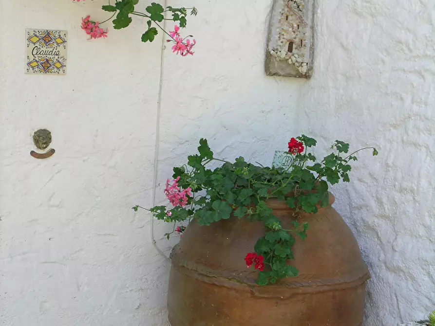 Immagine 12 di Porzione di casa in vendita  in Via delle Rose a Numana