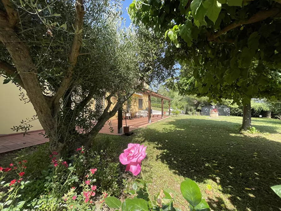 Immagine 6 di Rustico / casale in vendita  in offagna a Offagna