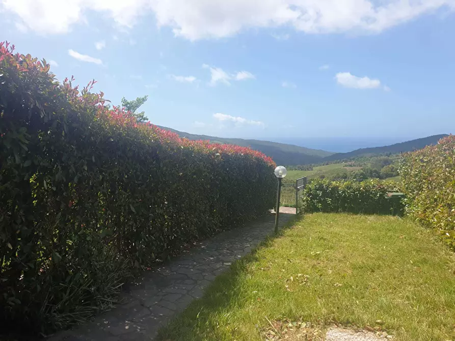 Immagine 13 di Appartamento in vendita  a Livorno