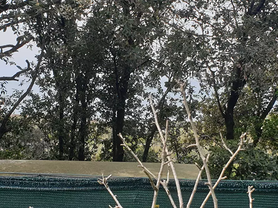 Immagine 11 di Rustico / casale in vendita  a Livorno