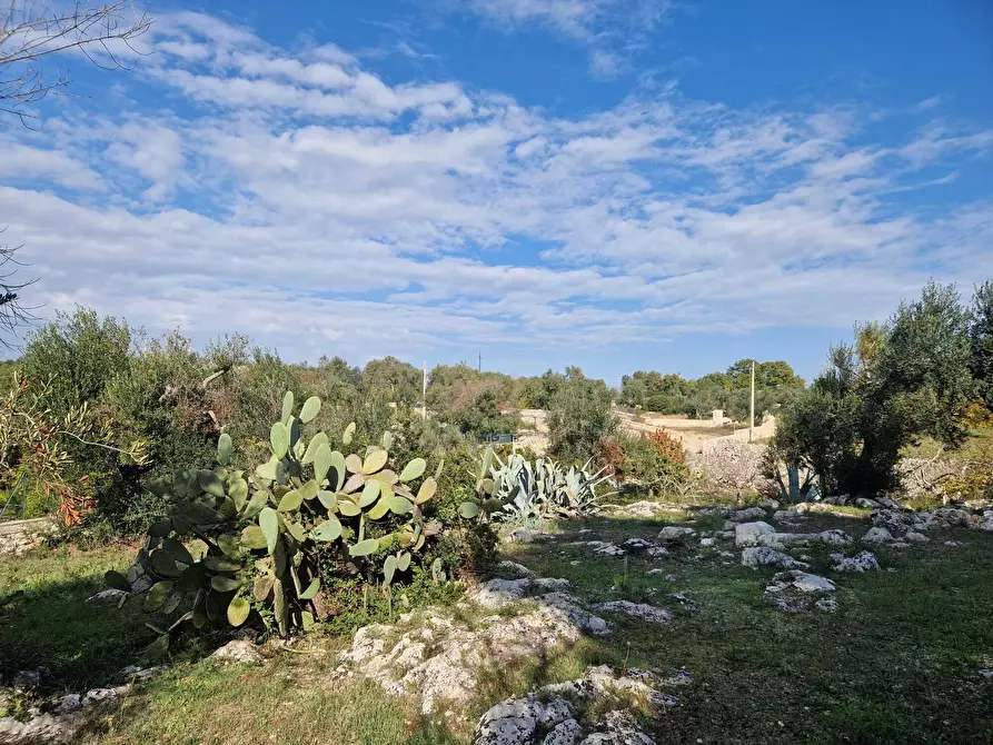 Immagine 11 di Casa indipendente in vendita  a Ostuni