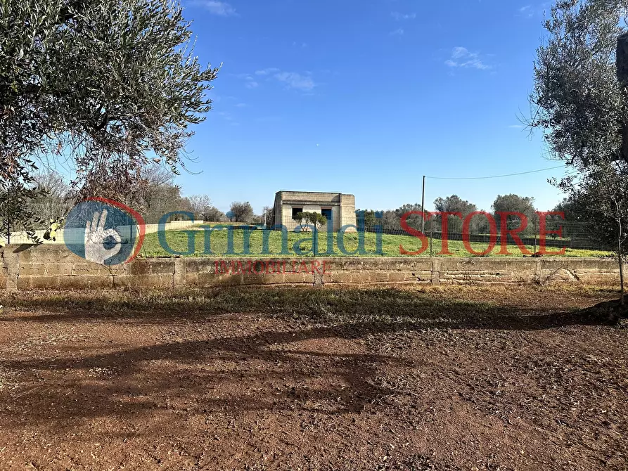 Immagine 17 di Rustico / casale in vendita  a San Vito Dei Normanni