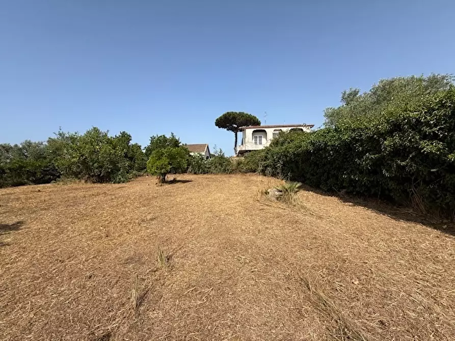 Immagine 5 di Terreno edificabile in vendita  in Via Viminale a Nettuno