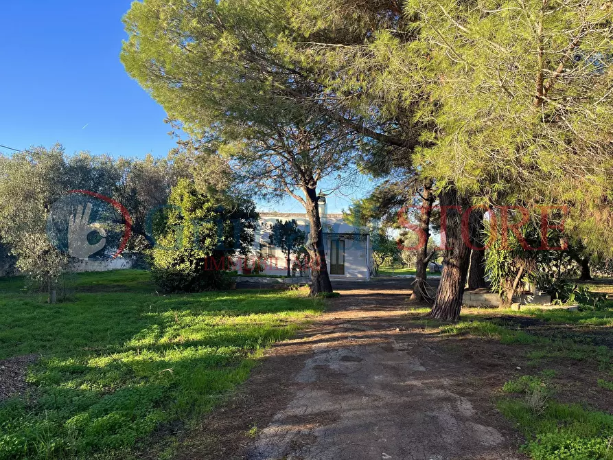 Immagine 6 di Rustico / casale in vendita  a San Vito Dei Normanni