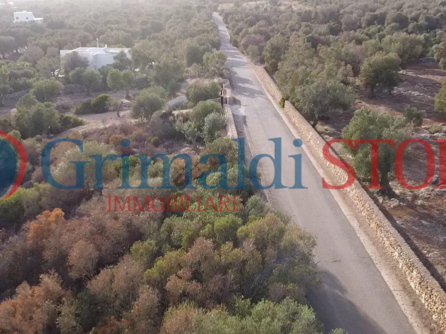 Immagine 11 di Terreno agricolo in vendita  a Manduria