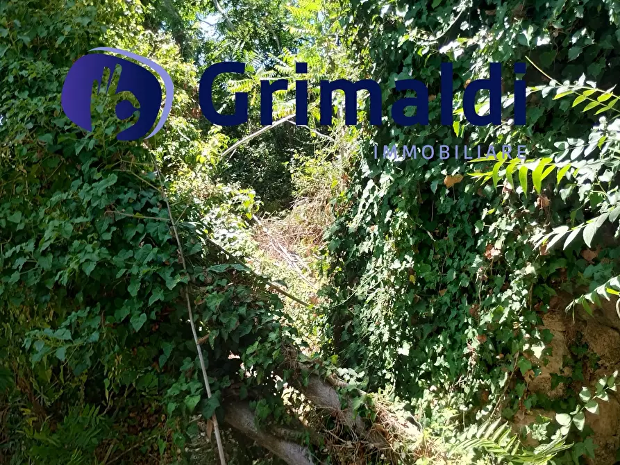 Immagine 9 di Terreno agricolo in vendita  in Corsa Regina Elena SNC a Barano D'ischia