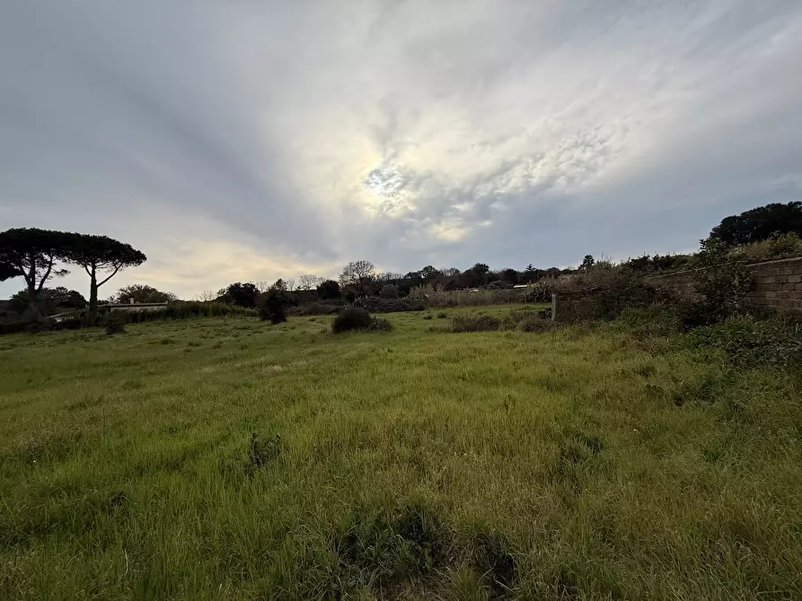 Immagine 3 di Terreno edificabile in vendita  in VIA CENTOCELLE 1 a Anzio