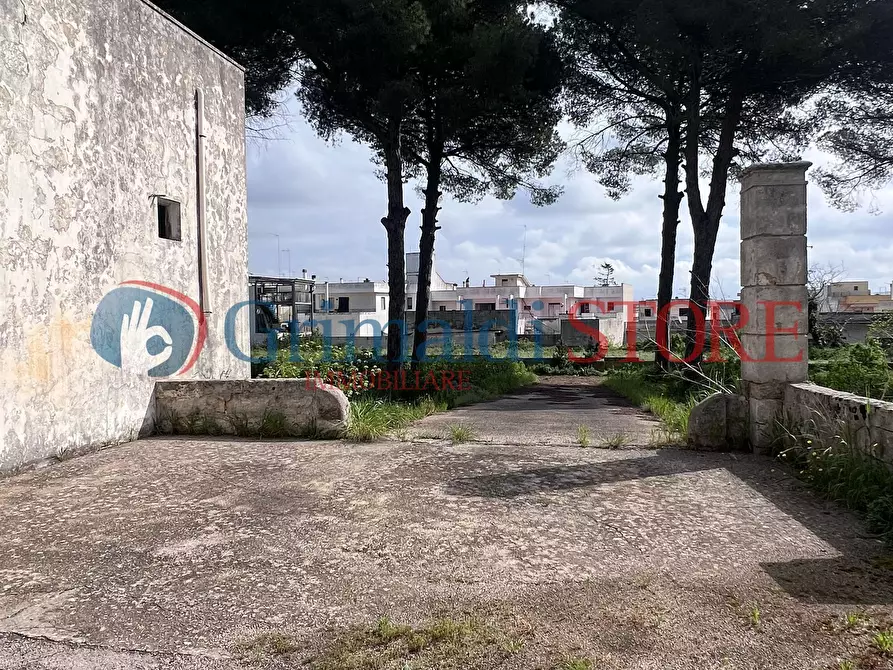 Immagine 19 di Villa in vendita  in Via Santa Maria di Leuca 1 a Ruffano