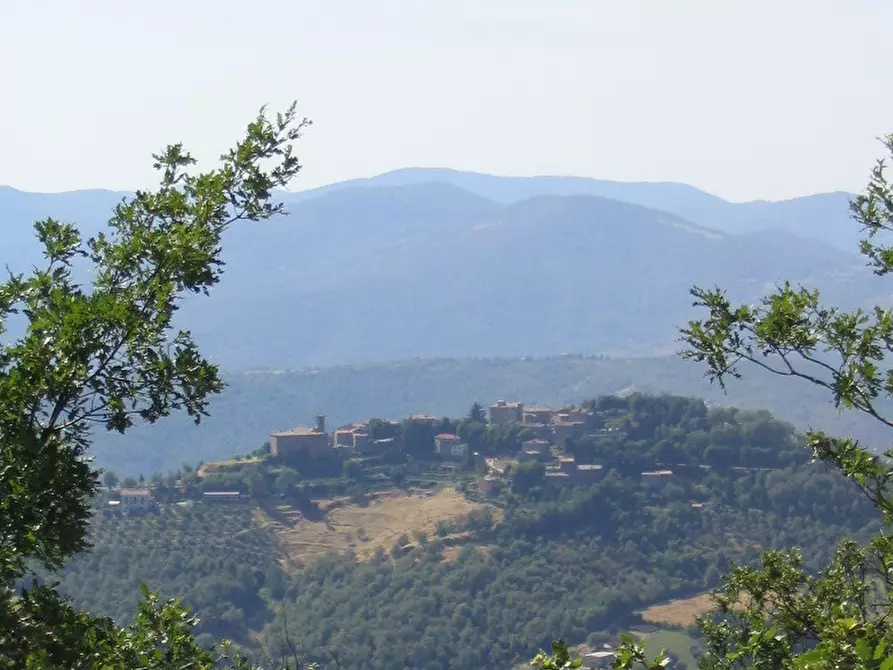 Immagine 15 di Albergo/B&B/Residence in vendita  in via della Rocca a Umbertide
