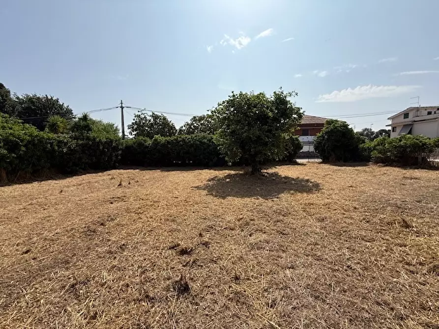 Immagine 12 di Terreno edificabile in vendita  in Via Viminale a Nettuno