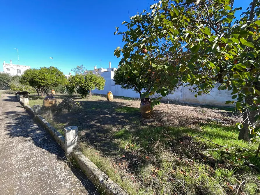 Immagine 37 di Villa in vendita  in Via Costantini 78 a Calimera