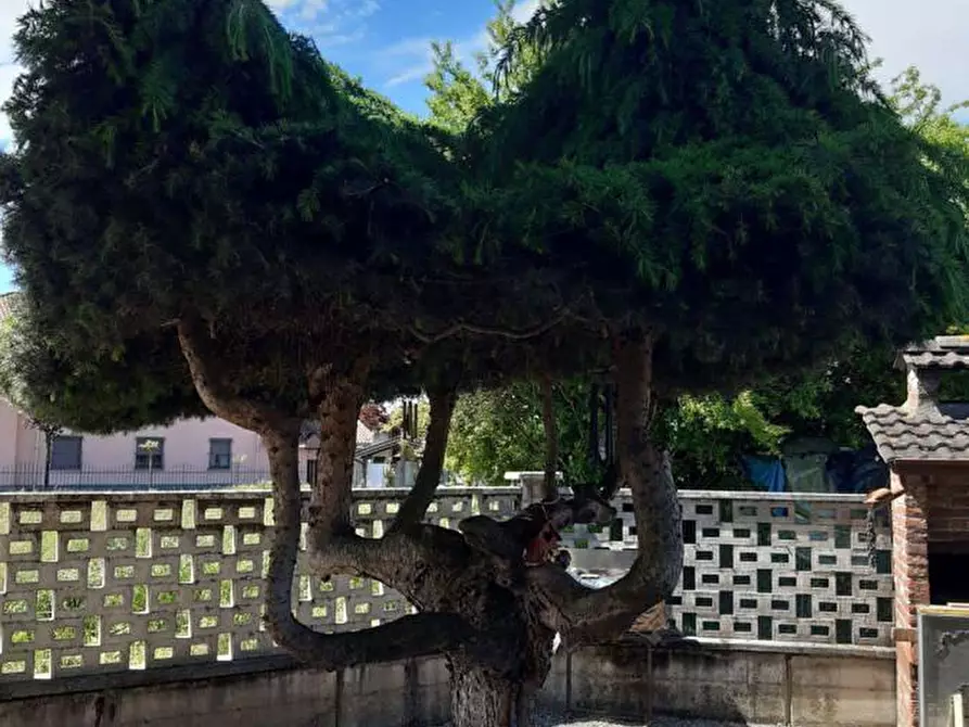 Immagine 11 di Villa in vendita  in Via Magenta 4 a Villata