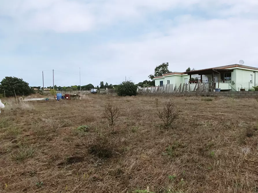 Immagine 6 di Terreno agricolo in vendita  in Via della Campana a Anzio