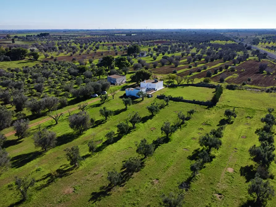 Immagine 60 di Villa in vendita  in Contrada Montestazzo 1 a Carovigno