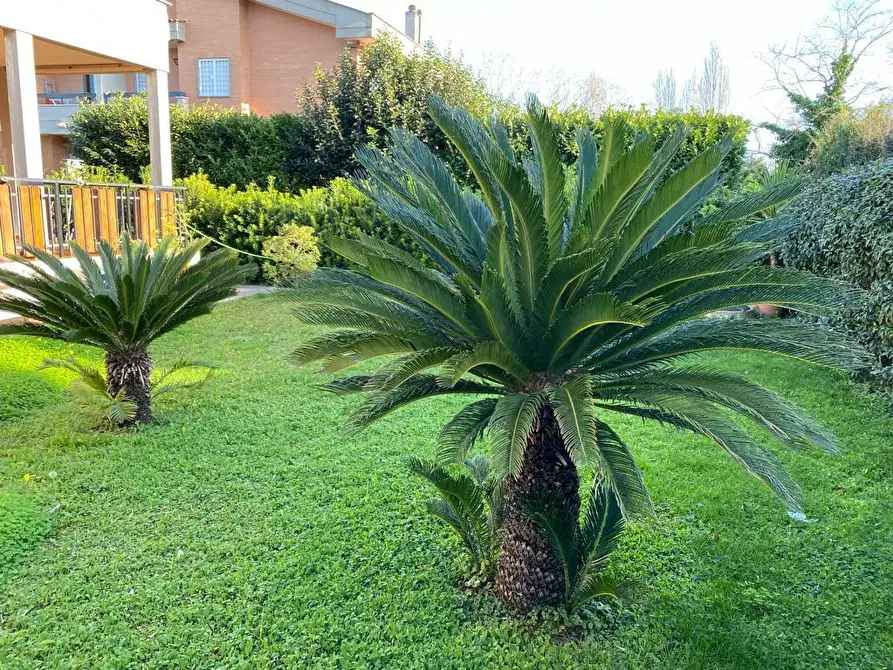 Immagine 1 di Casa indipendente in affitto  in Viale delle Ginestre 60 a Anzio