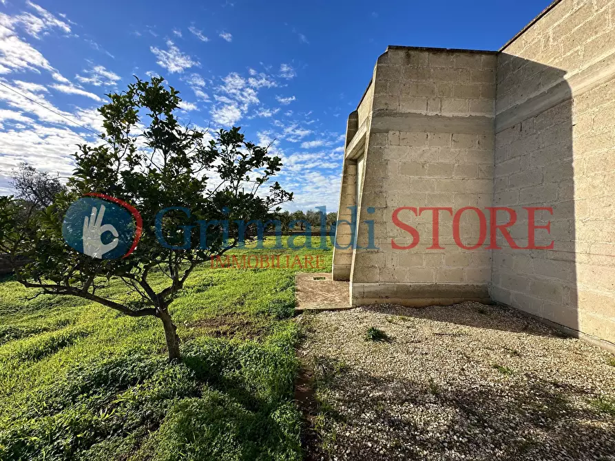 Immagine 5 di Rustico / casale in vendita  a San Vito Dei Normanni