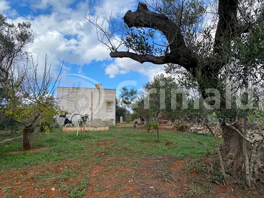 Immagine 1 di Terreno edificabile in vendita  in Santa Teresa a Sannicola