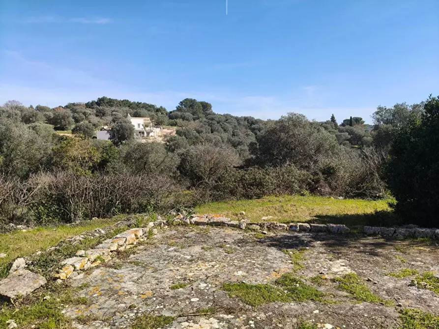 Immagine 15 di Casa indipendente in vendita  in Contrada Pisciacalze a Ceglie Messapico